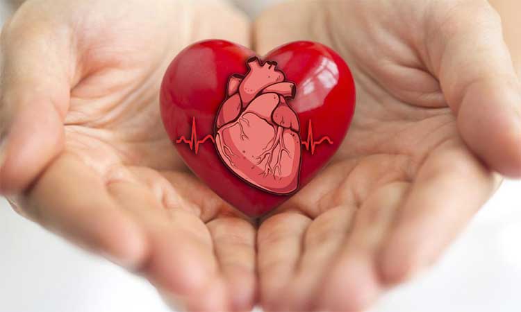Healthy Heart Leads To Healthy Life
